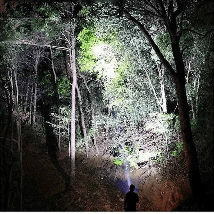 A Night Spark beam lighting up trees at night